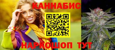 крисы Севастополь